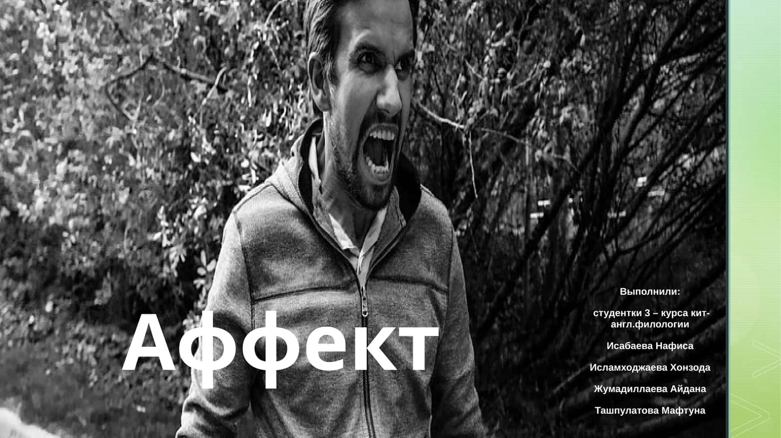 Аффект