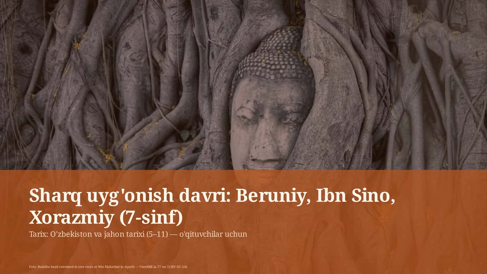 Sharq uyg'onish davri: Beruniy, Ibn Sino, Xorazmiy (7-sinf)