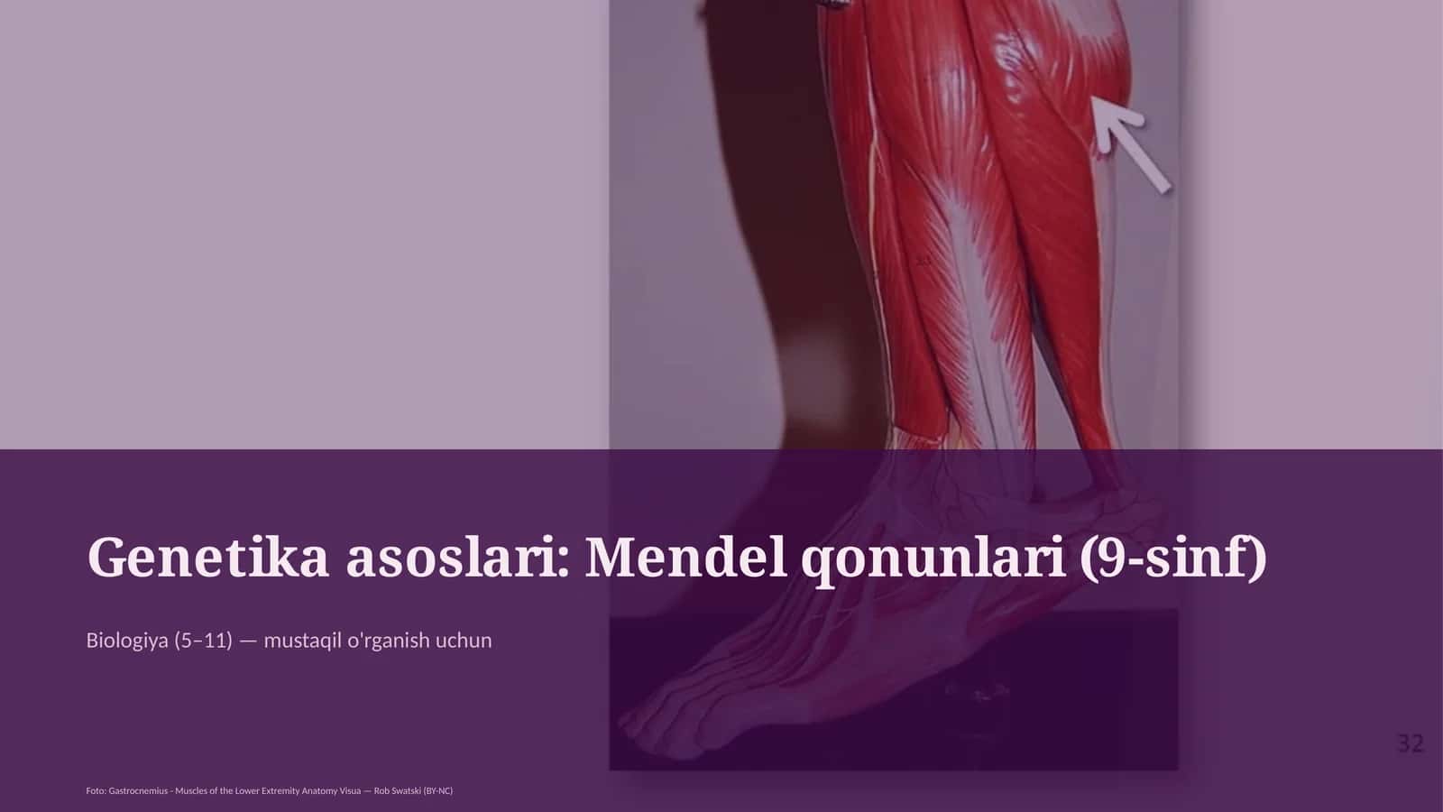 Genetika asoslari: Mendel qonunlari (9-sinf)