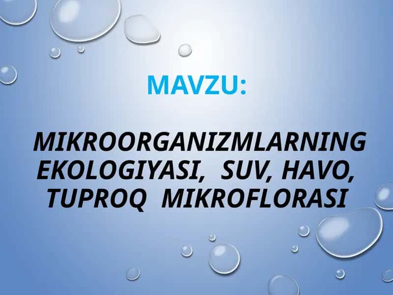 MAVZU:

 MIKROORGANIZMLARNING EKOLOGIYASI,  SUV, HAVO, TUPROQ  MIKROFLORASI