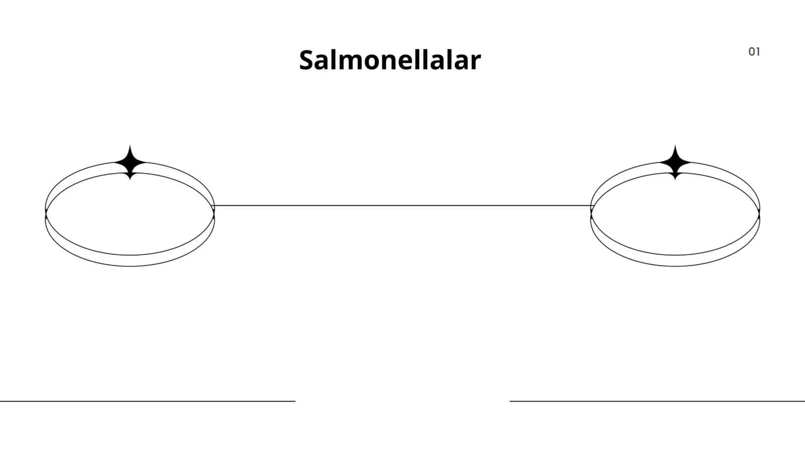 Salmonellalar
