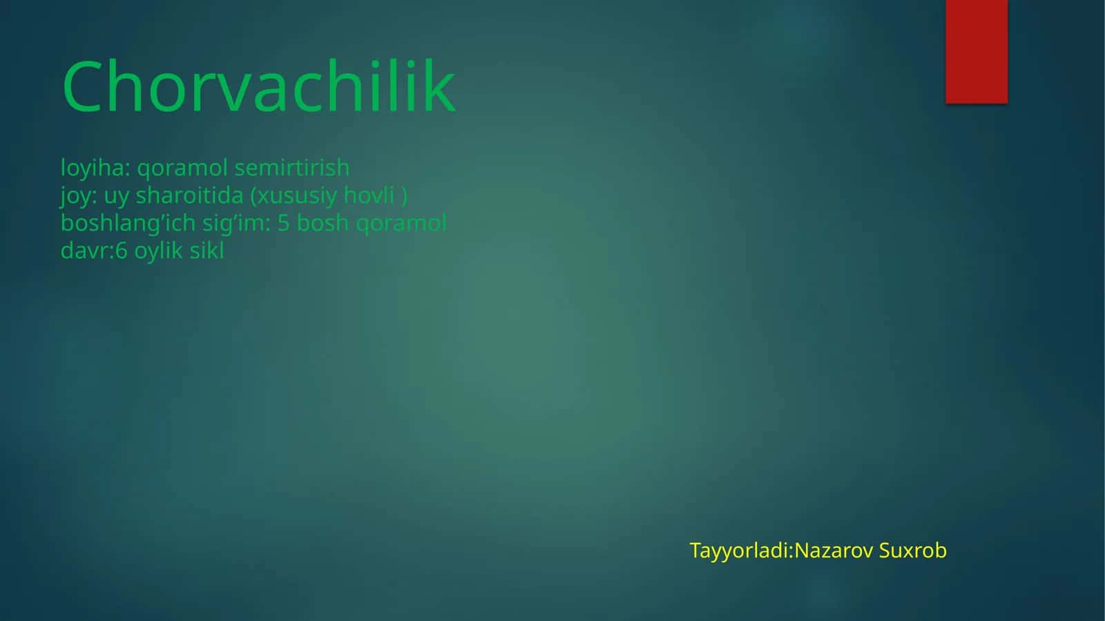 Chorvachilik loyiha