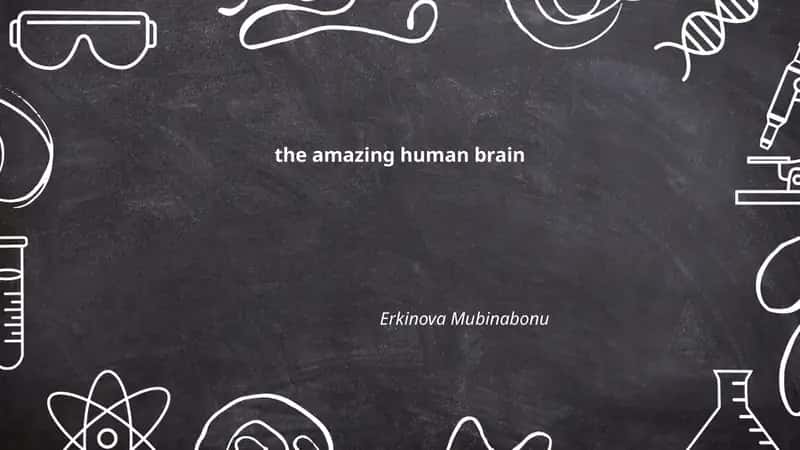 the amazing human brain