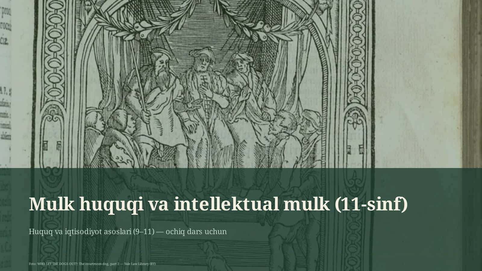 Mulk huquqi va intellektual mulk (11-sinf)
