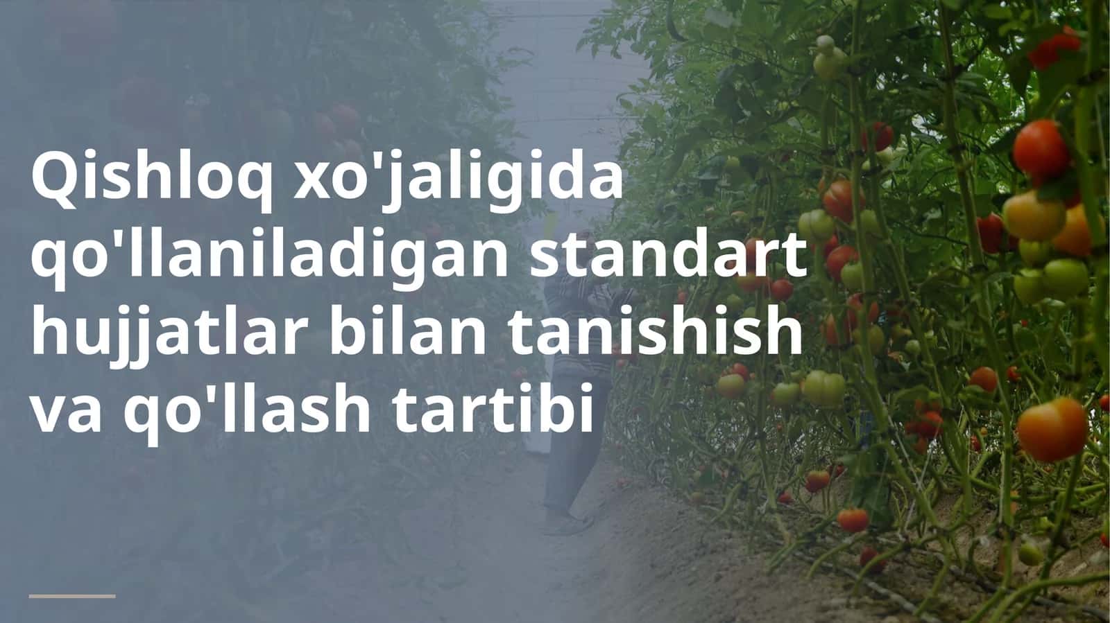 ILMIY-TEXNIK TAHLILIY TAQDIMOT