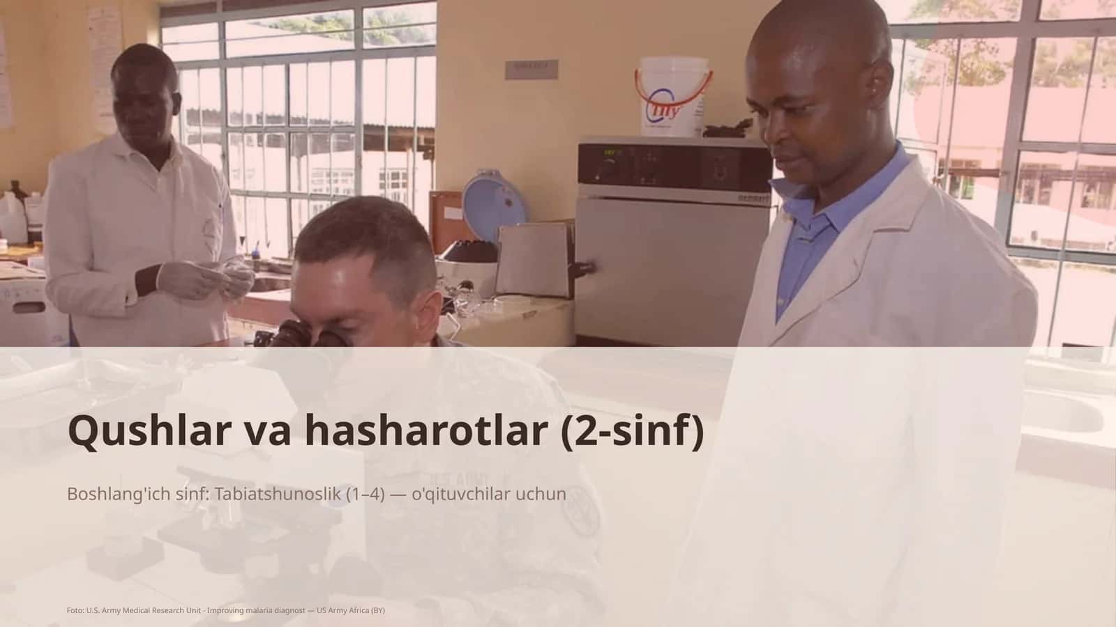 Qushlar va hasharotlar (2-sinf)