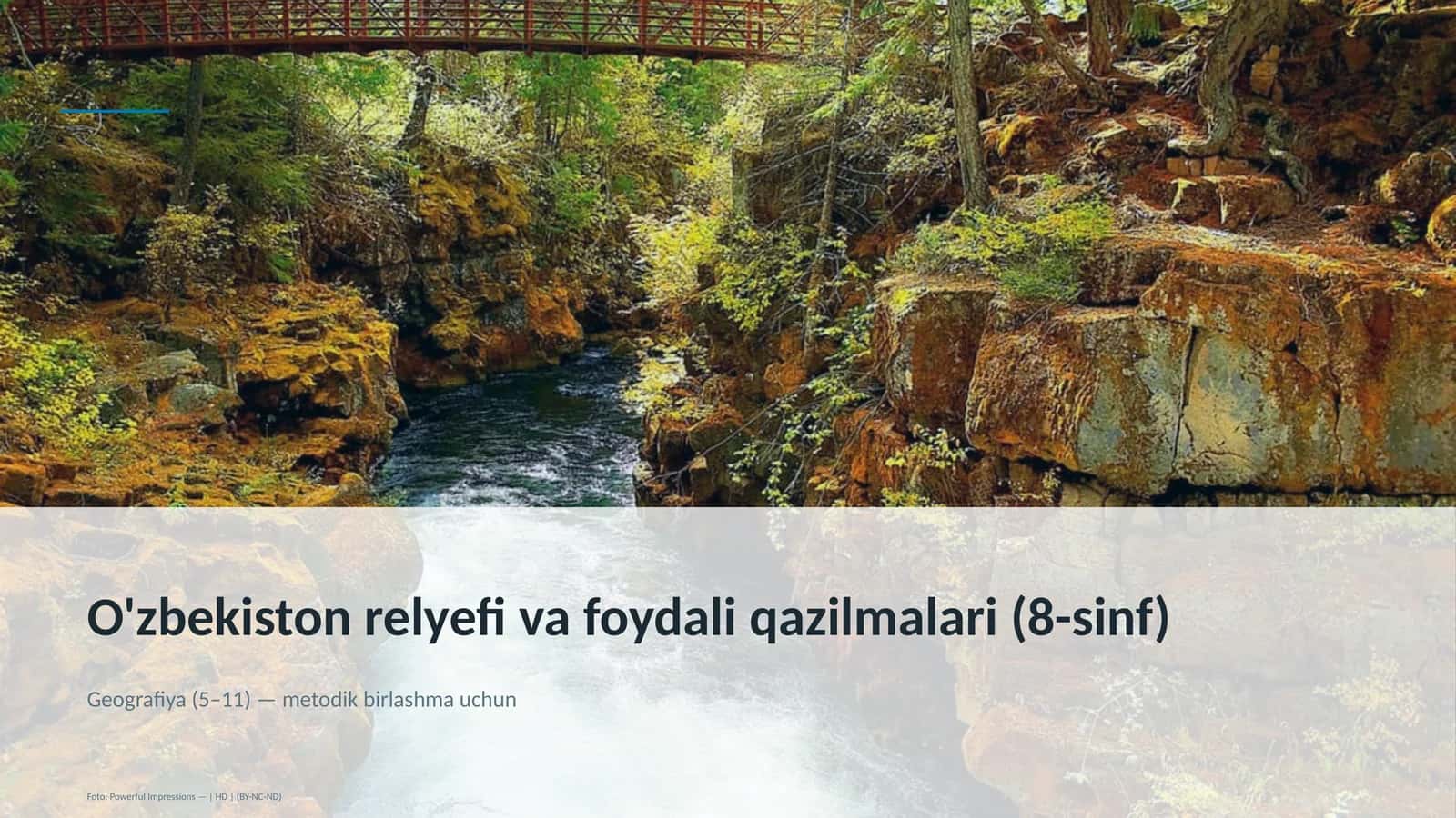 O'zbekiston relyefi va foydali qazilmalari (8-sinf)