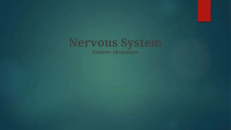 Nervous System