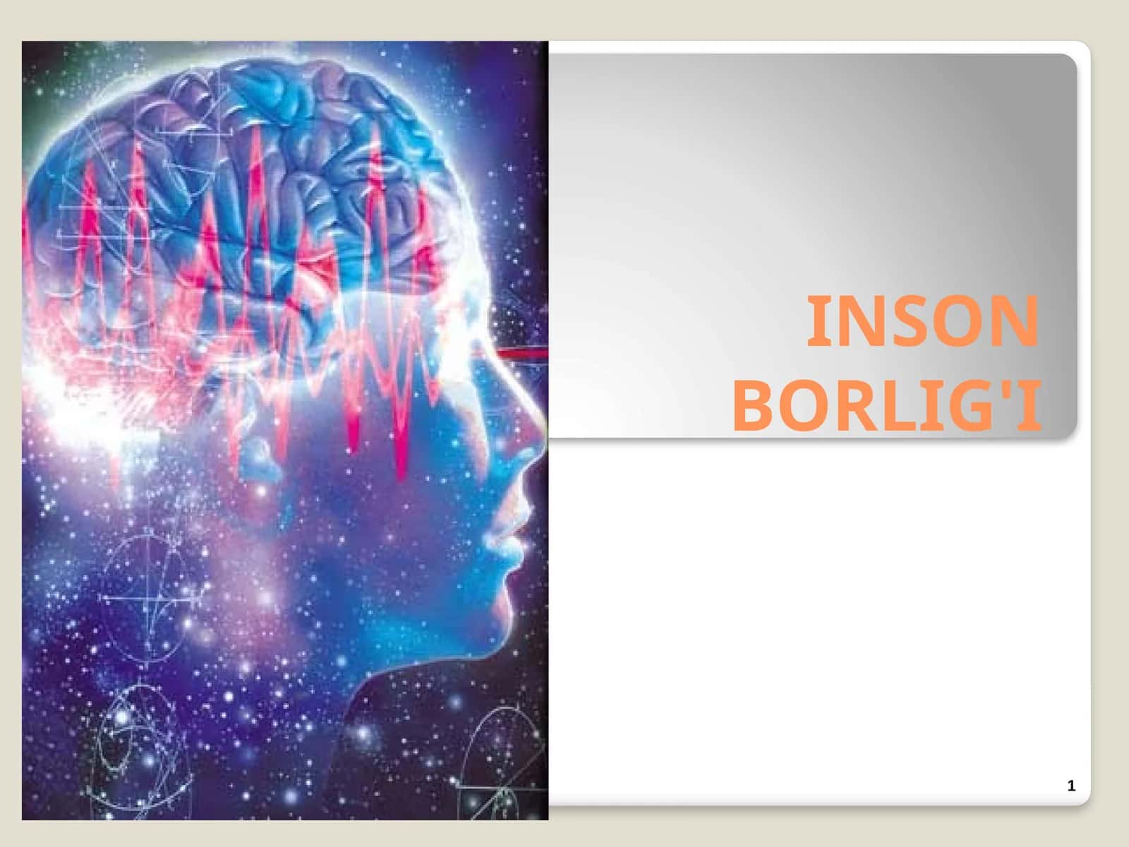 INSON BORLIG'I