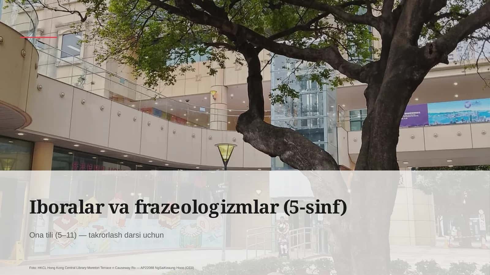 Iboralar va frazeologizmlar (5-sinf)