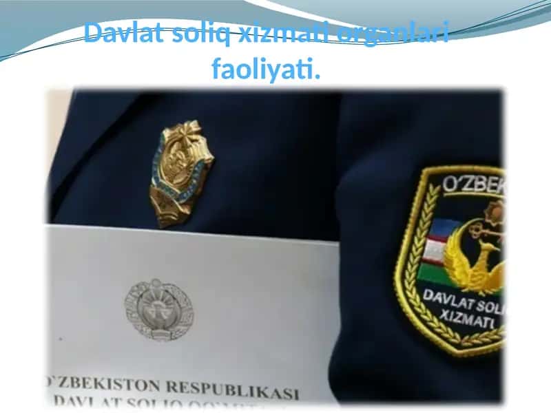 Davlat soliq xizmati organlari faoliyati