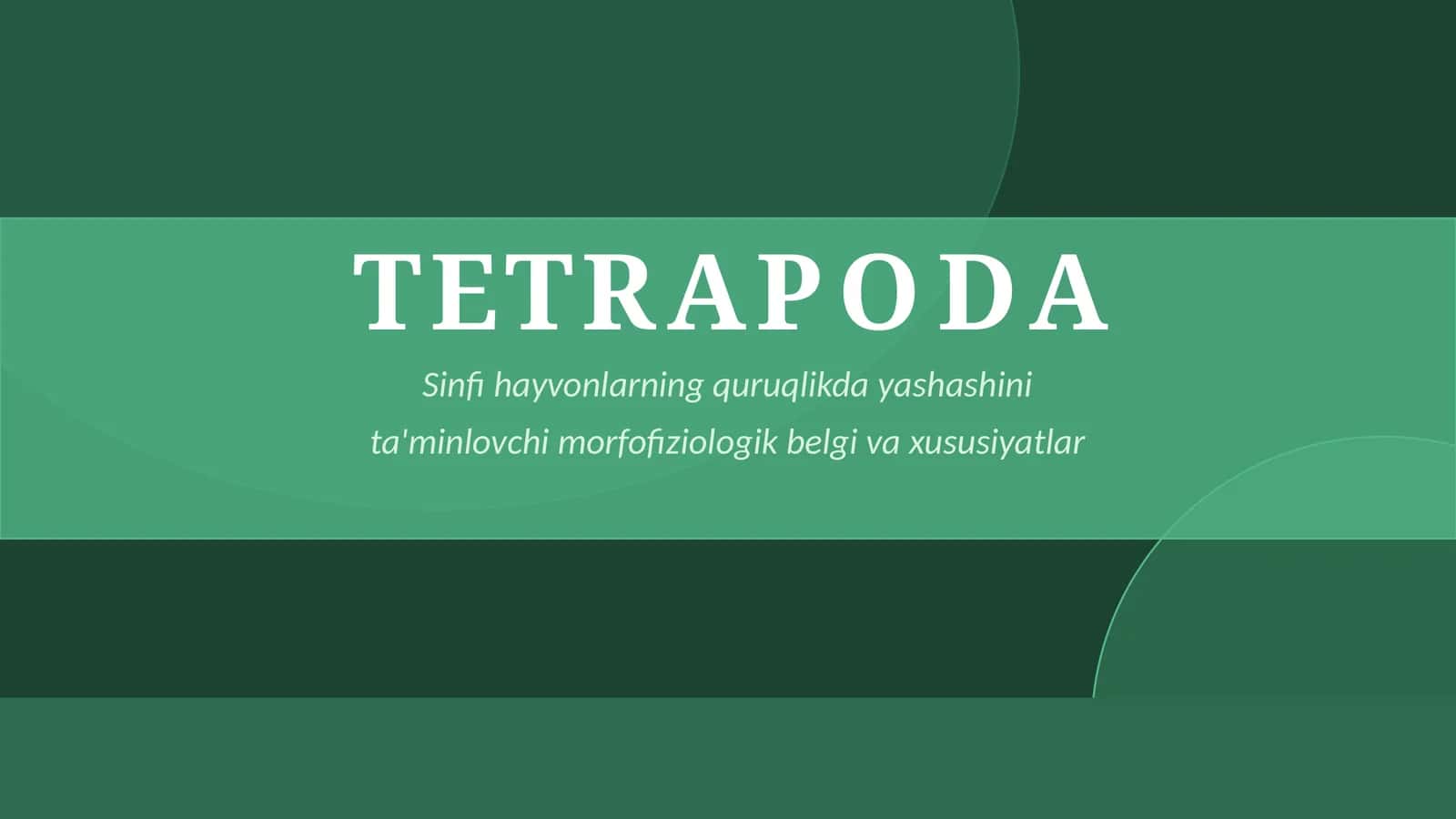 TETRAPODA