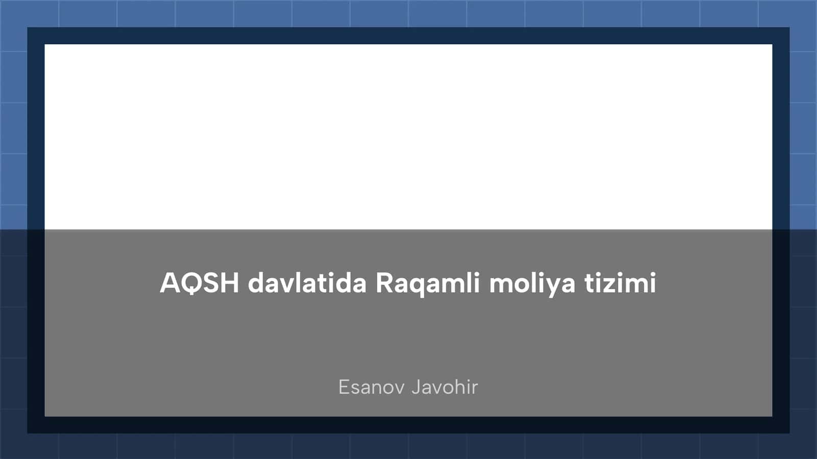 Raqamli moliya tizimi AQSH davlatida