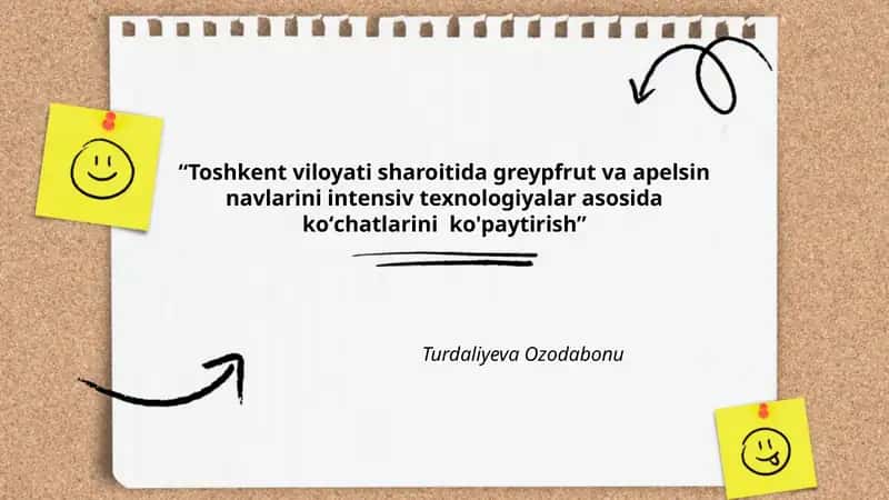 Greypfrut va apelsin navlarini tanlash Toshkent viloyati uchun