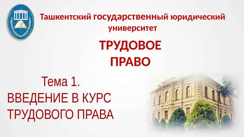 Введение в курс трудового права