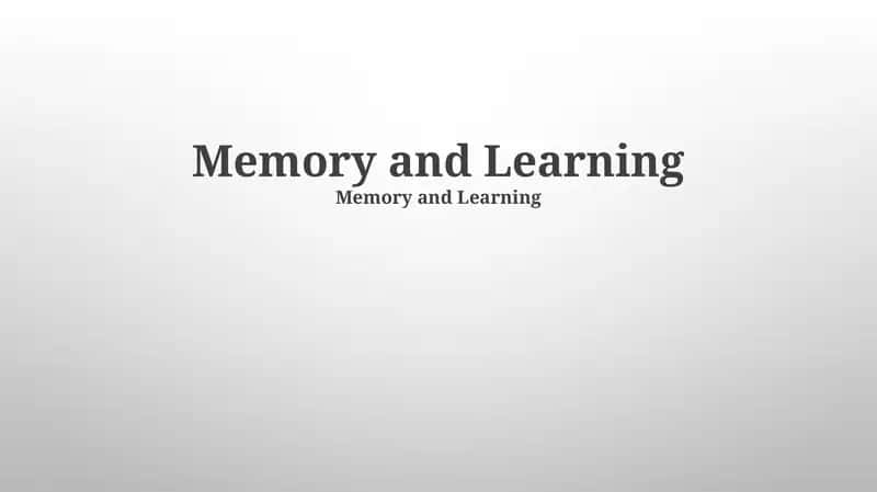 Memory Improvement Techniques