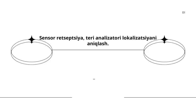 Sensor retseptsiya, teri analizatori lokalizatsiyani aniqlash