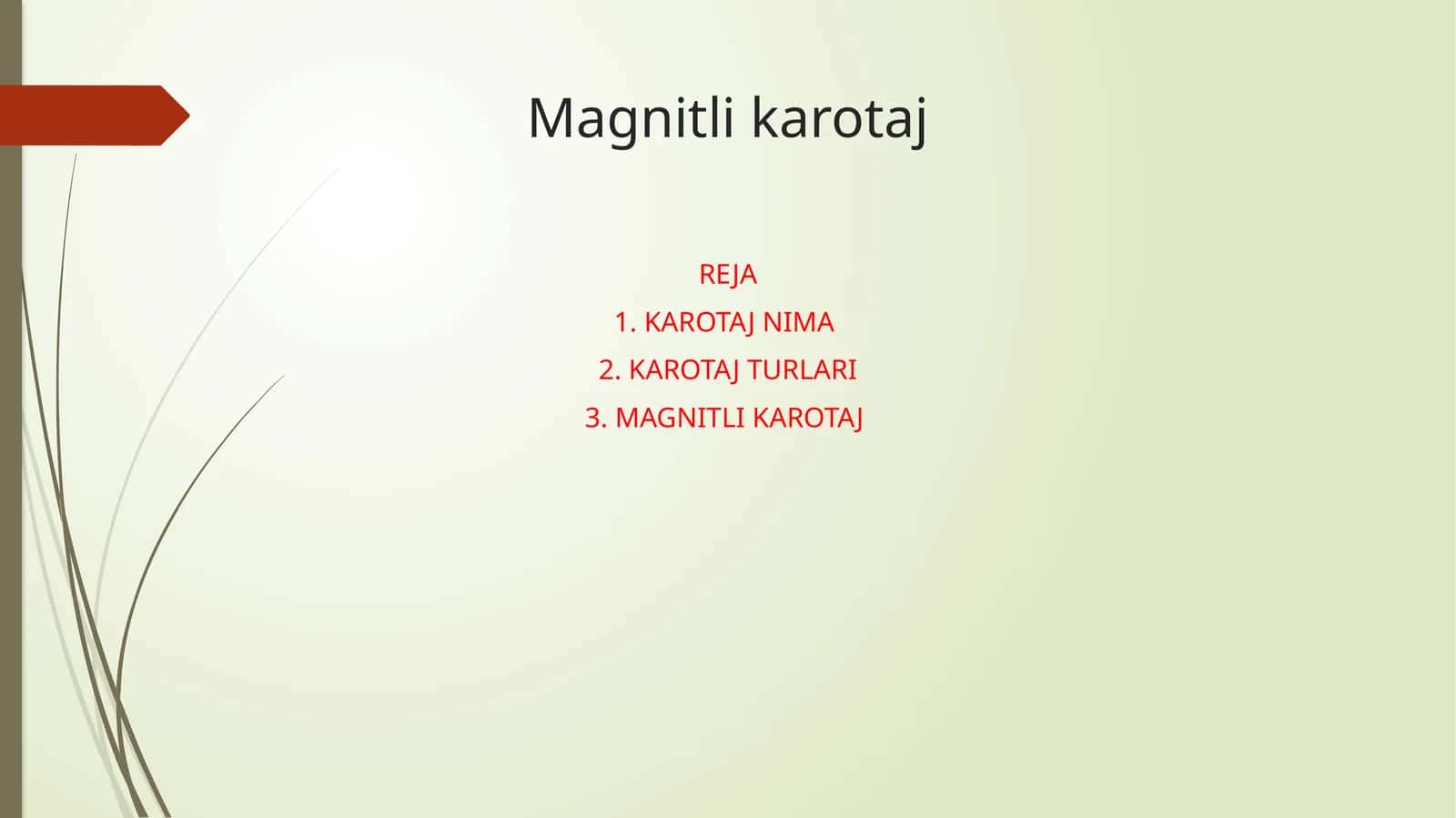 Magnitli karotaj