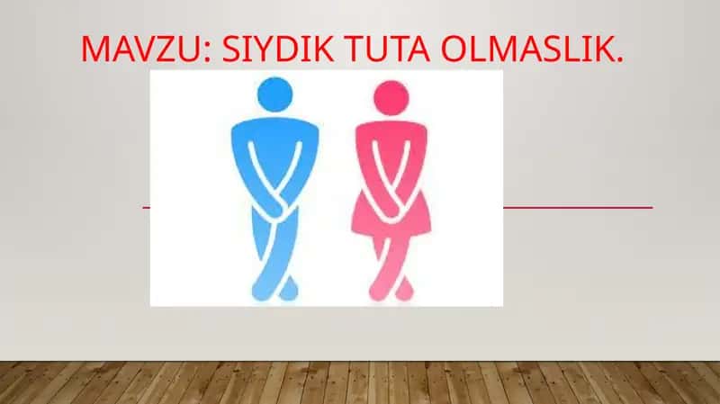 Siydiktutaolmaslik