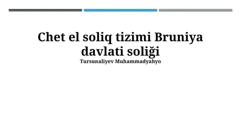 Bruneyning Soliq Tizimi