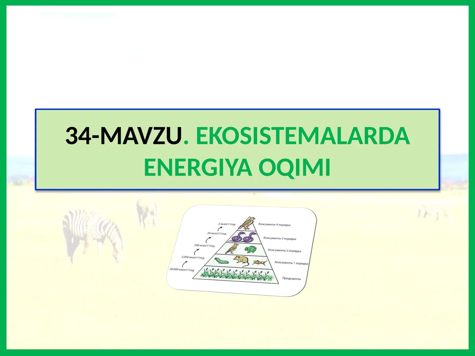 Ekosistemalarda energiya oqimi