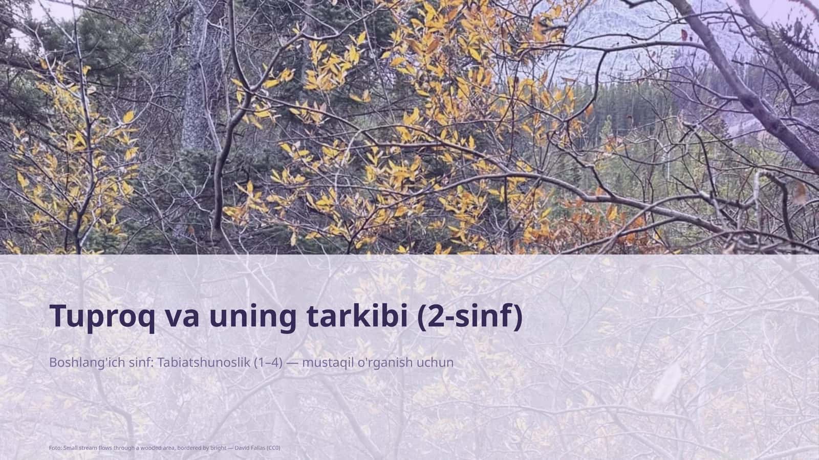 Tuproq va uning tarkibi (2-sinf)