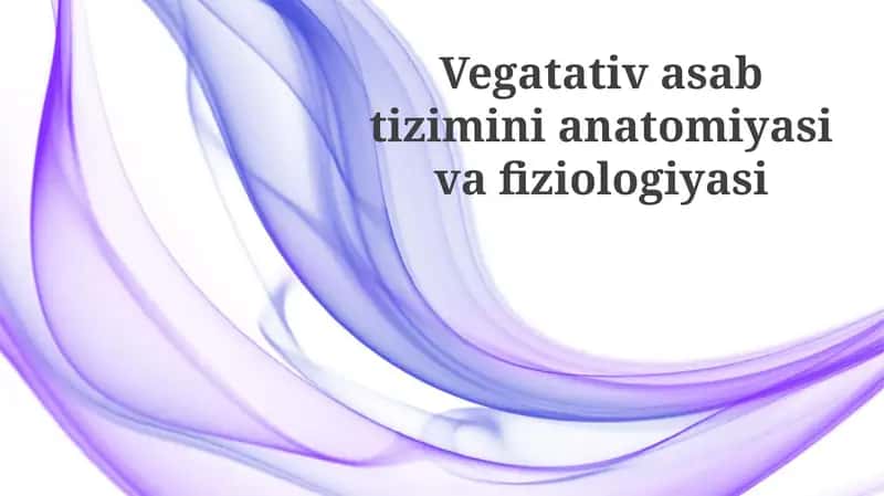 Avtonom nerv sistemasi