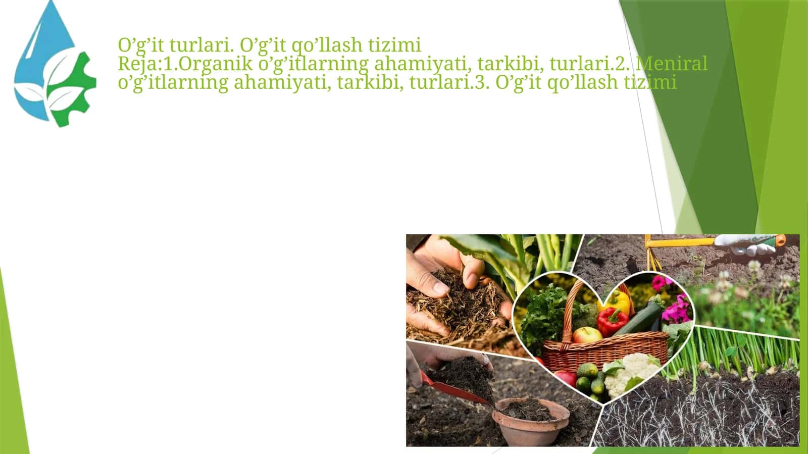 O’g’it Turlari va O’g’it Qo’llash Tizimi