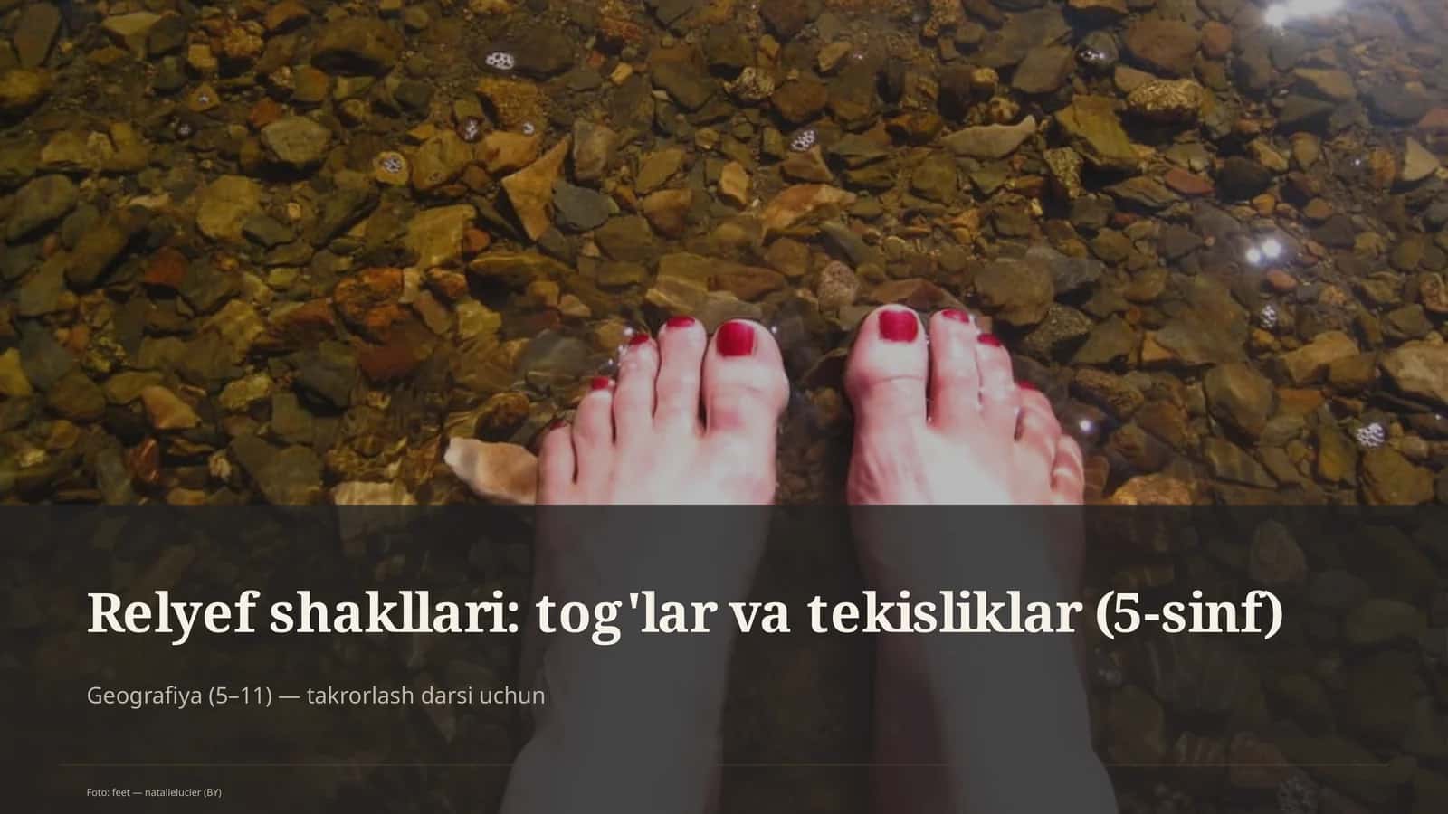 Relyef shakllari: tog'lar va tekisliklar (5-sinf)