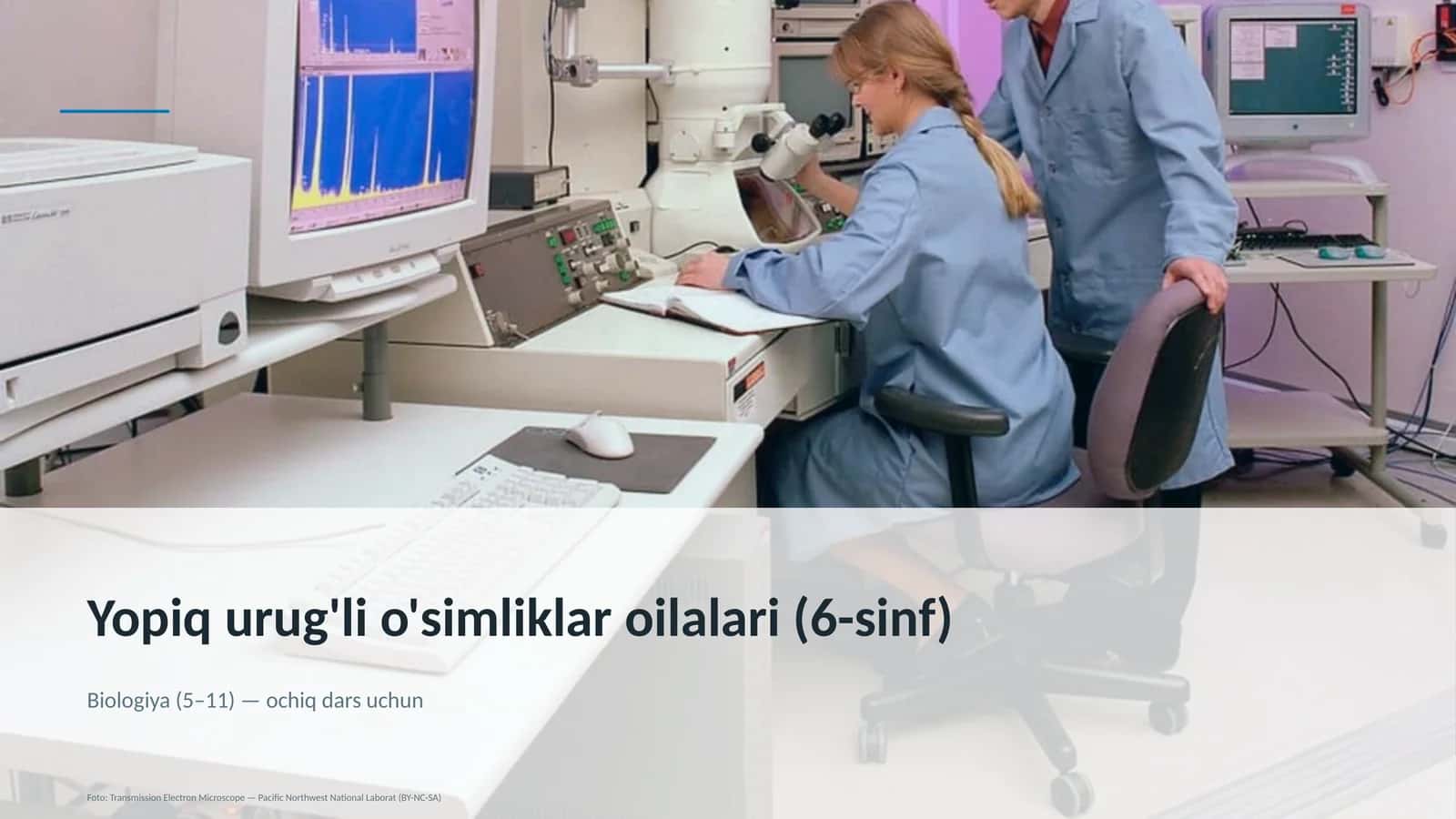 Yopiq urug'li o'simliklar oilalari (6-sinf)