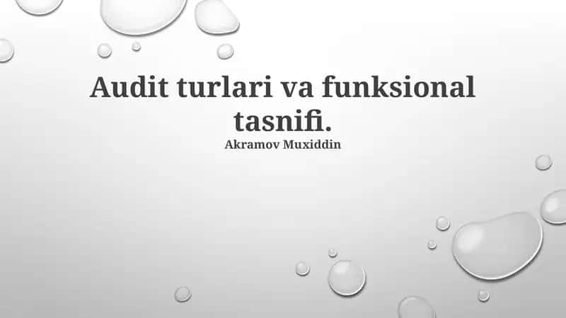 Audit turlari va funksional tasnifi