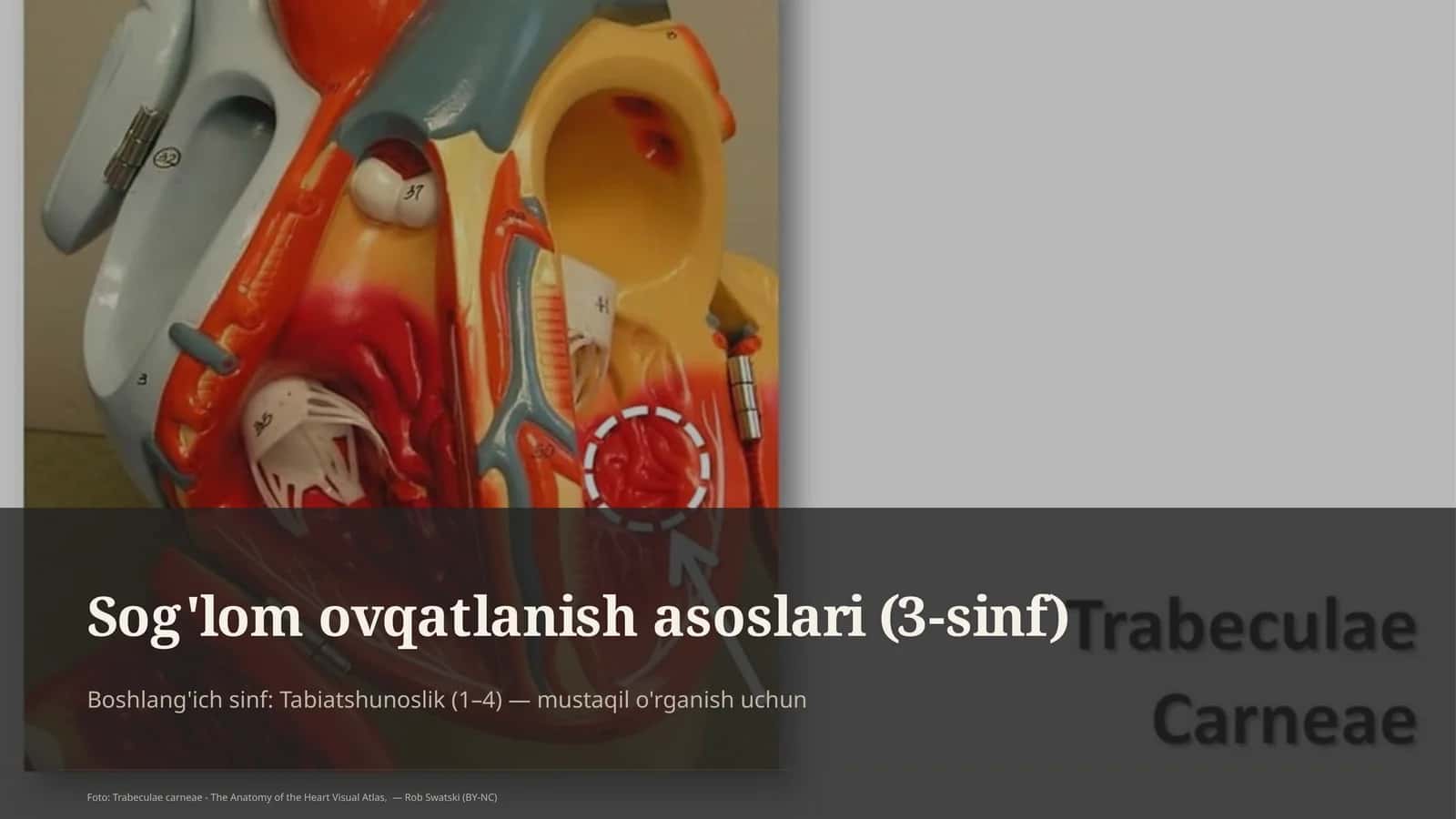Sog'lom ovqatlanish asoslari (3-sinf)