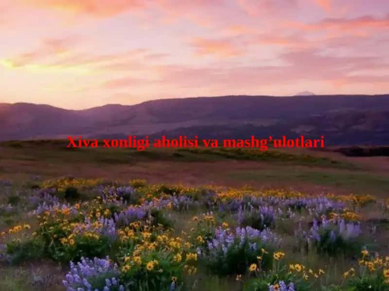 Xivaxonligiaholisivamashg’ulotlari