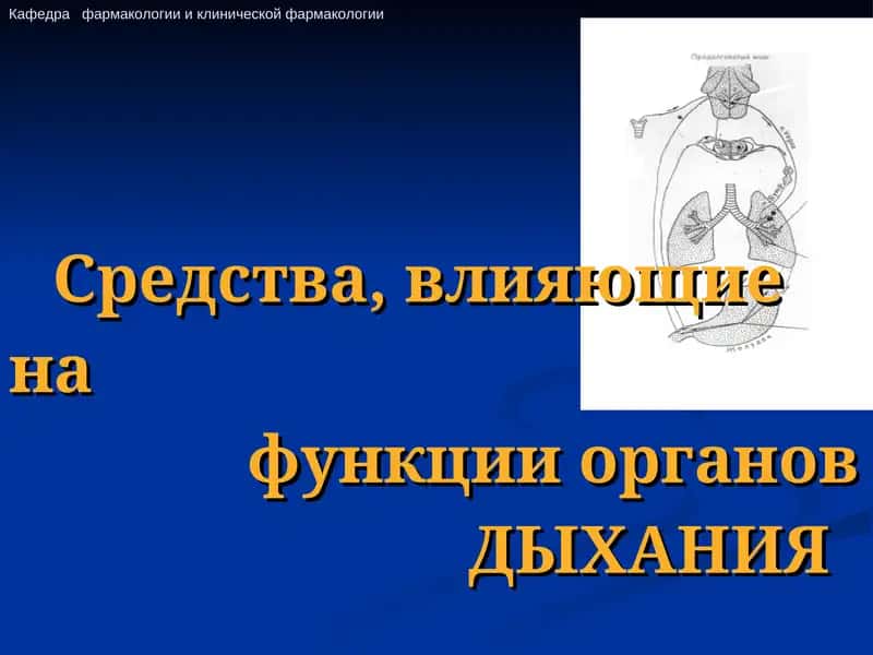Средства, влияющие на функции органов дыхания