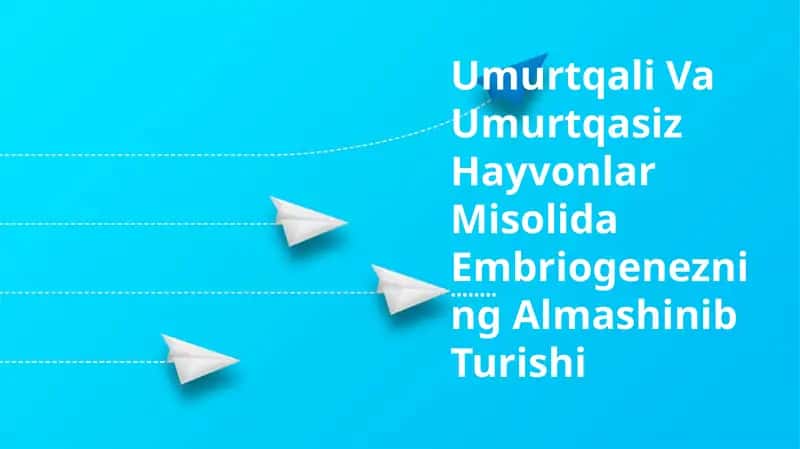 Umurtqali Va Umurtqasiz Hayvonlar Misolida Embriogenezning Almashinib Turishi