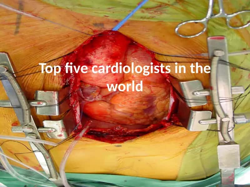 Cardiologists