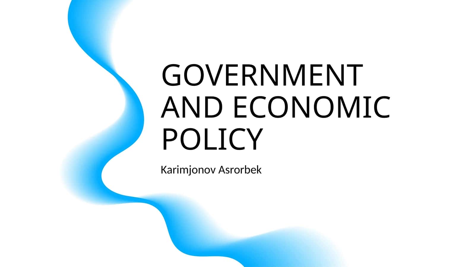 GOVERNMENT AND ECONOMIC POLICY
