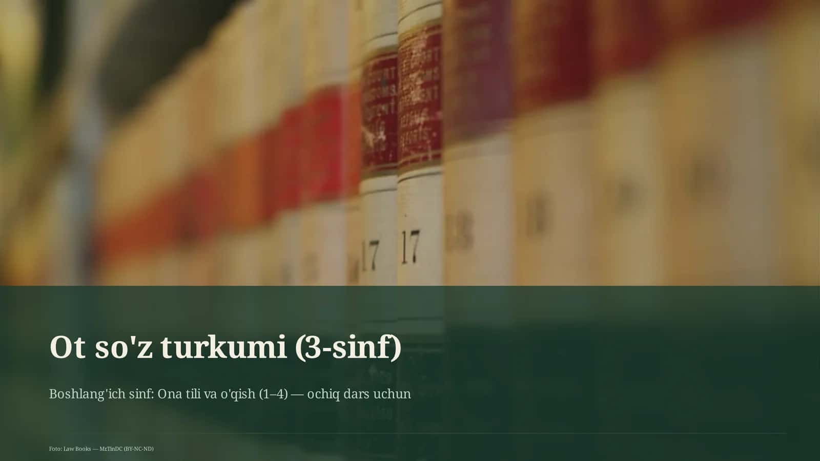 Ot so'z turkumi (3-sinf)