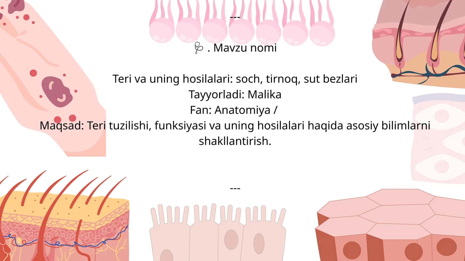 Teri va uning hosilalari: soch, tirnoq, sut bezlari