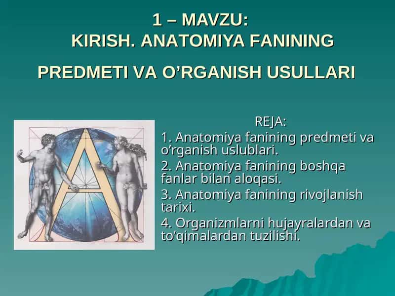 Anatomiya Fanining Predmeti va O'rganish Uslublari
