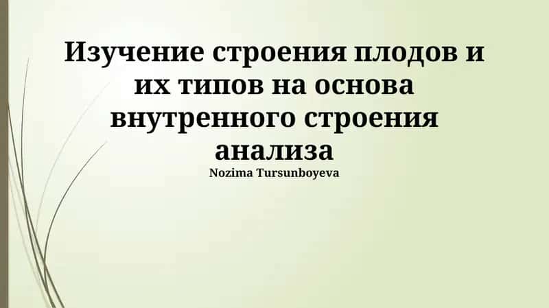 Строение и классификация плодов