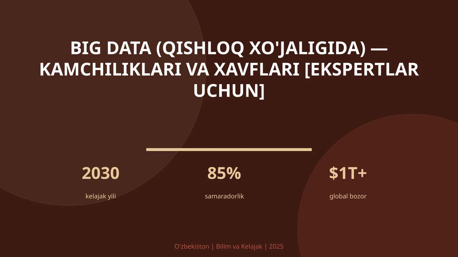 BIG DATA (QISHLOQ XO'JALIGIDA) — KAMCHILIKLARI VA XAVFLARI [EKSPERTLAR UCHUN]