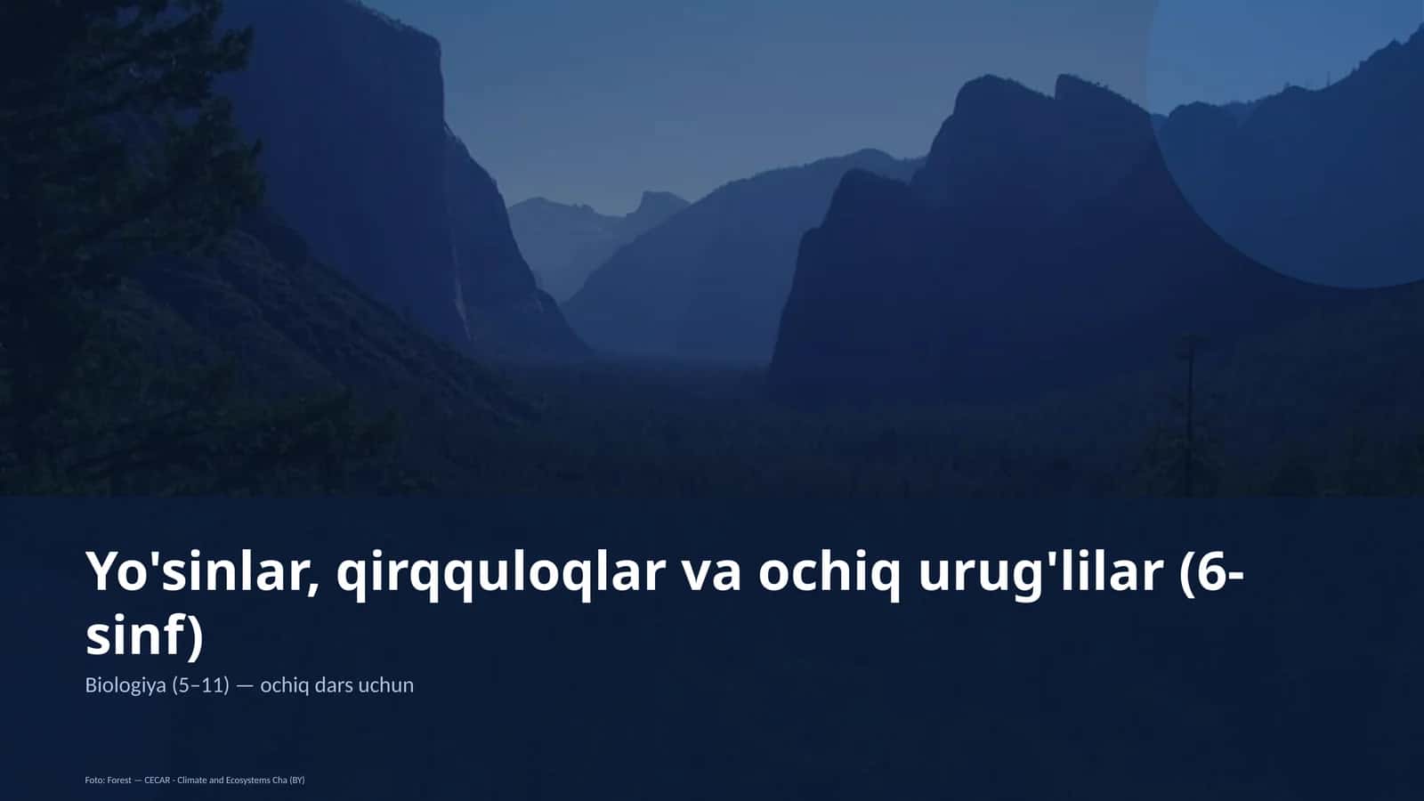 Yo'sinlar, qirqquloqlar va ochiq urug'lilar (6-sinf)