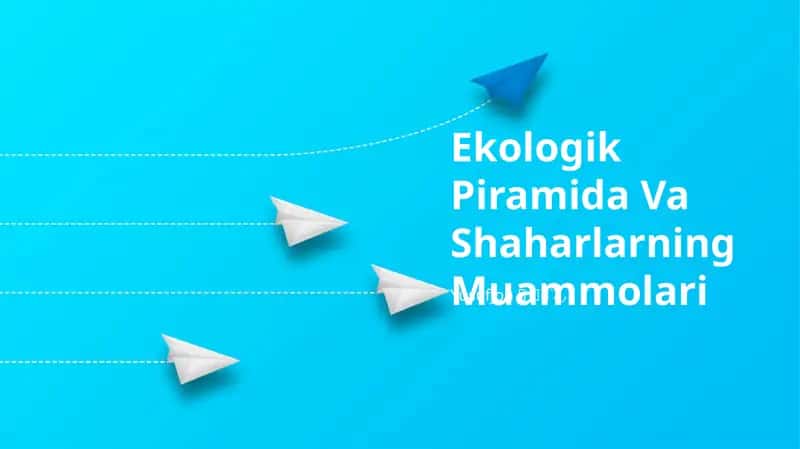 Ekologik Piramida Va Shaharlarning Muammolari