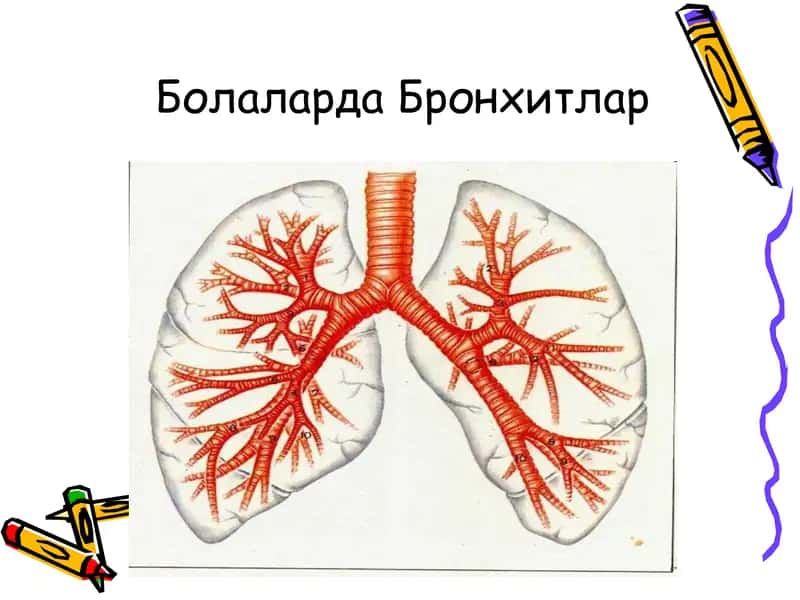Болаларда Бронхитлар