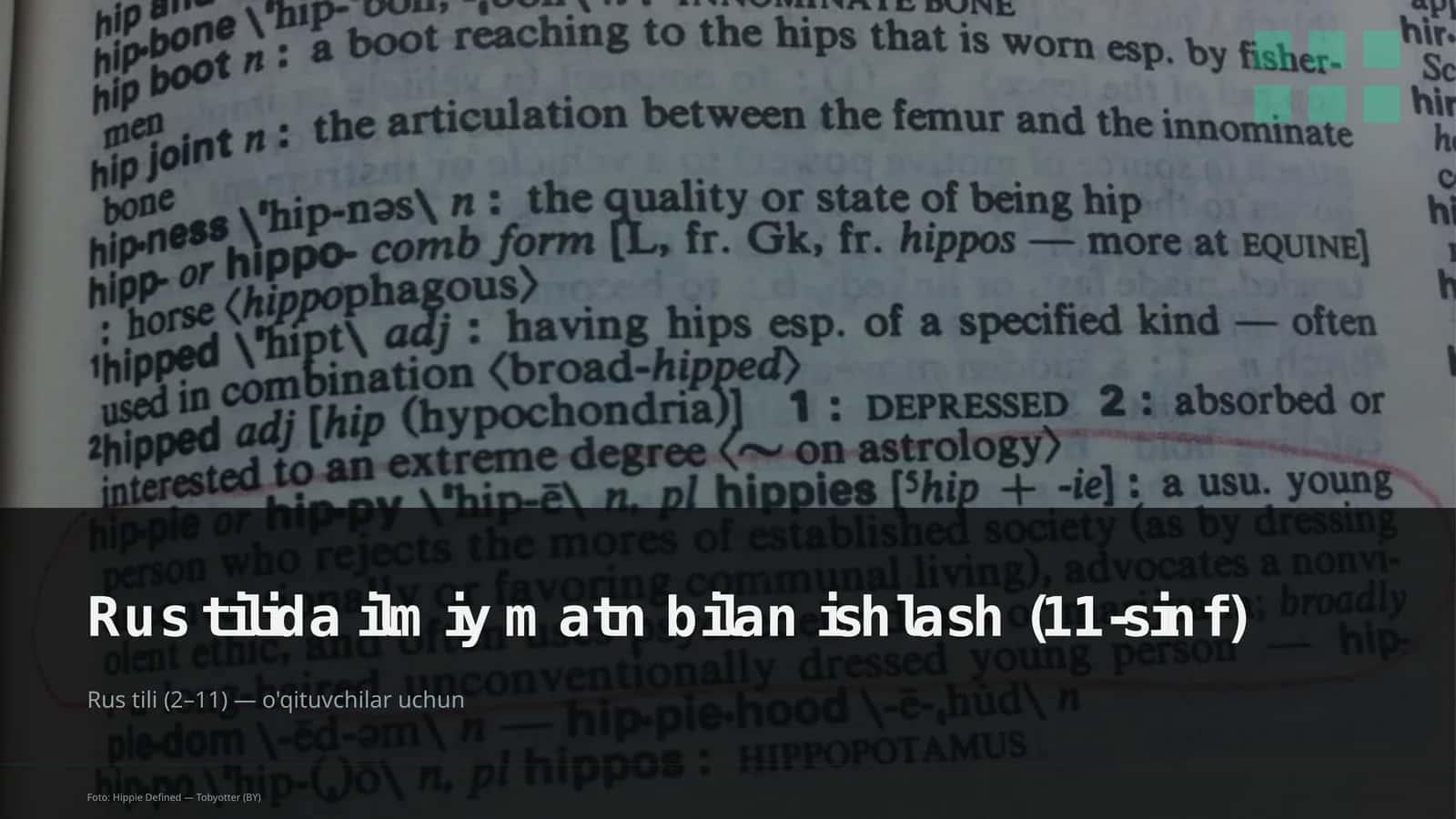 Rus tilida ilmiy matn bilan ishlash (11-sinf)