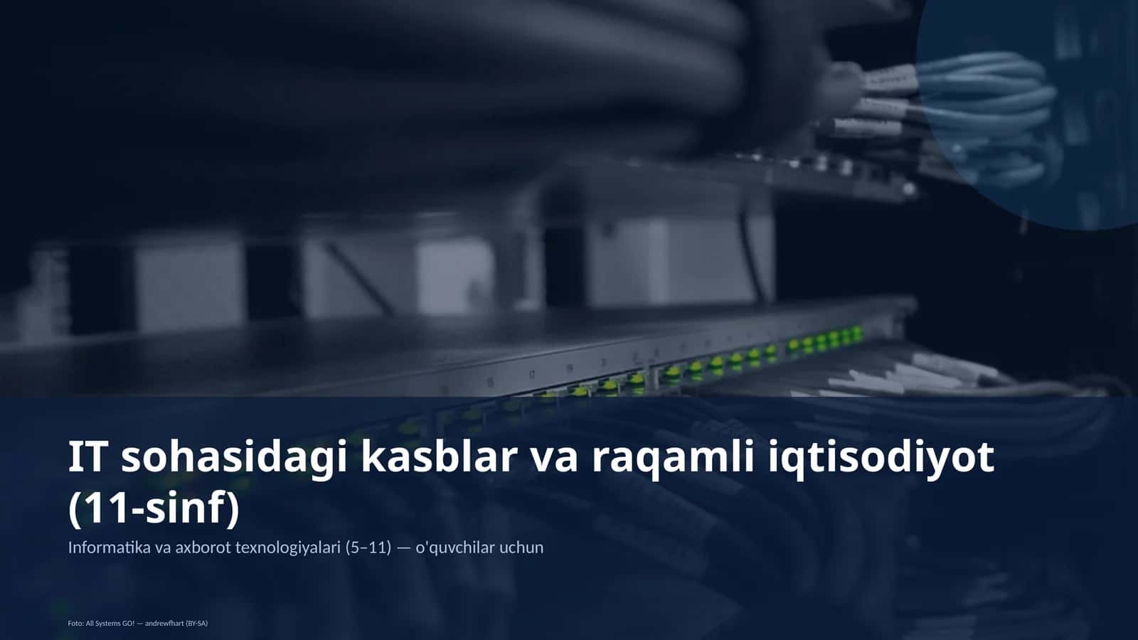 IT sohasidagi kasblar va raqamli iqtisodiyot (11-sinf)