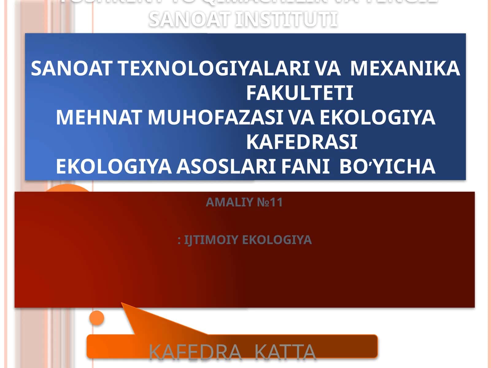 AMALIY №11: IJTIMOIY EKOLOGIYA