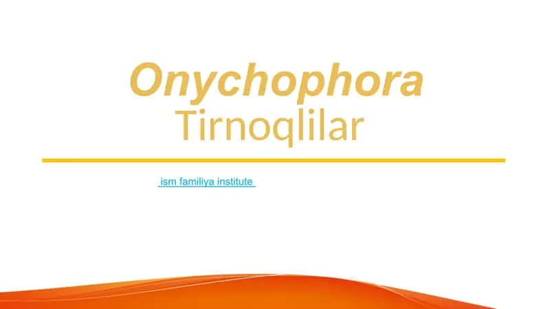 Onychophora Tirnoqlilar
