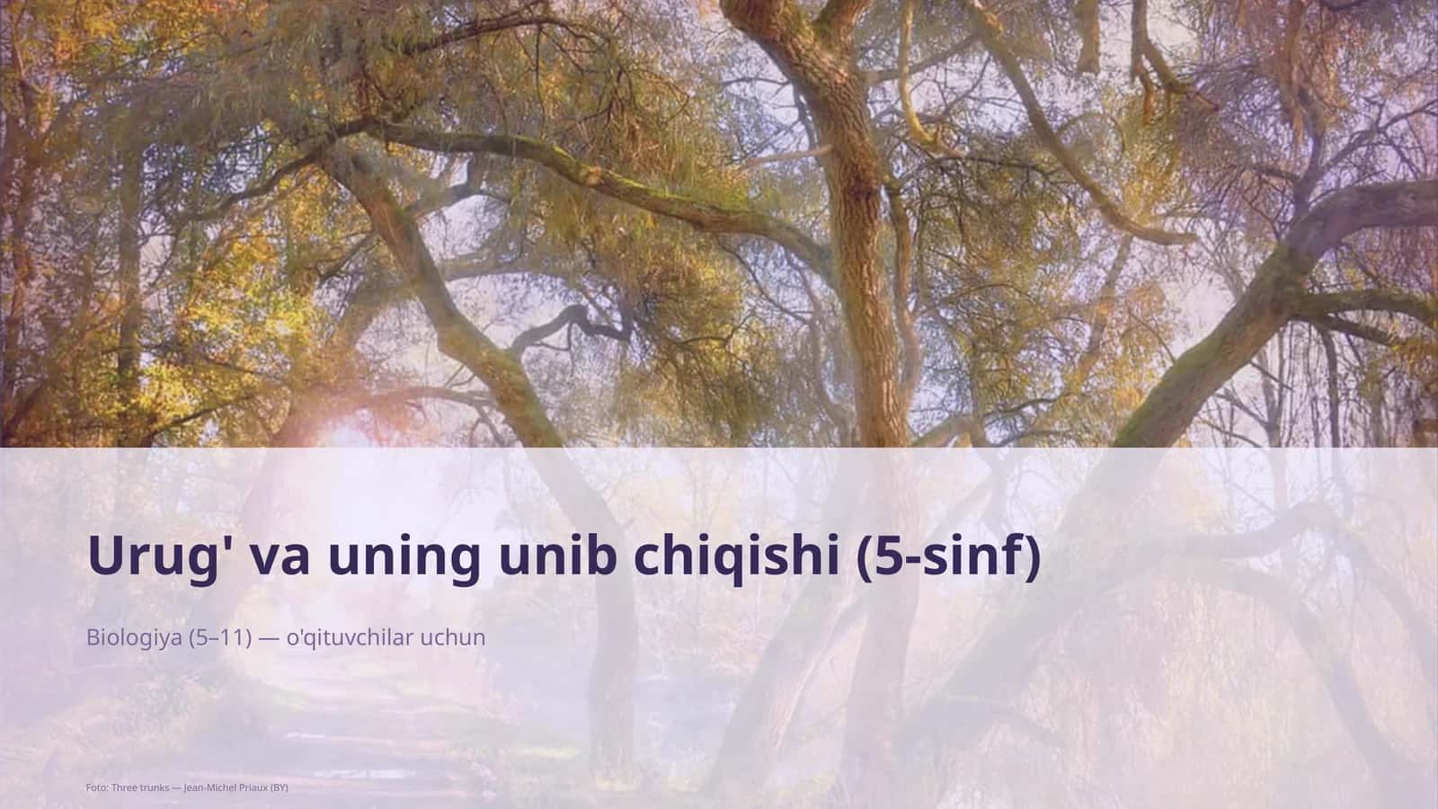Urug' va uning unib chiqishi (5-sinf)